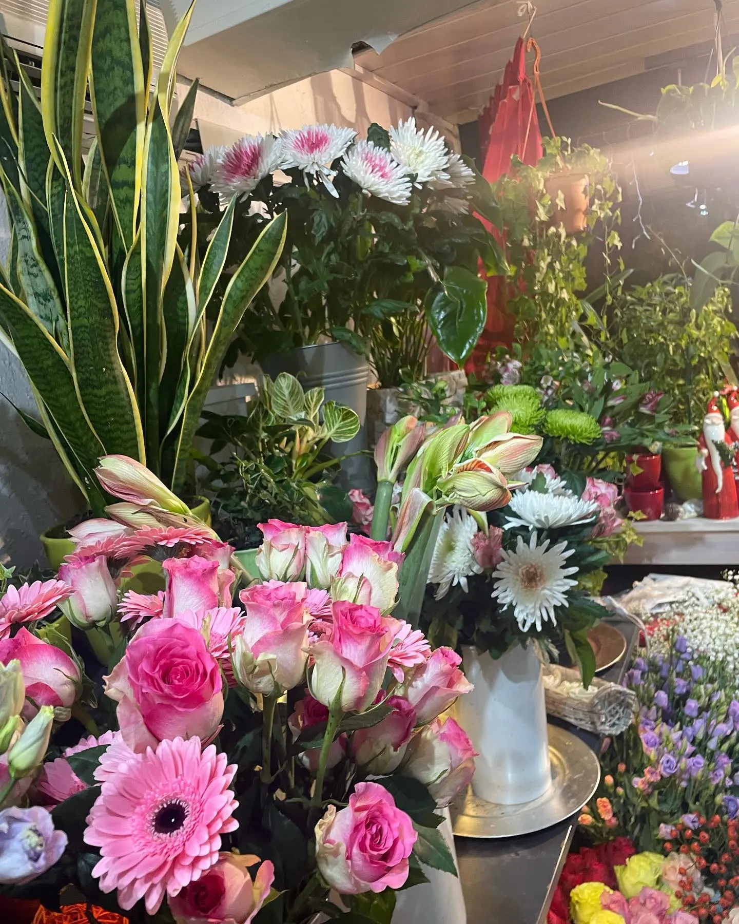 Verkaufsraum im Blumenhaus Jasmin mit Eimern voller Rosen und Gerbera